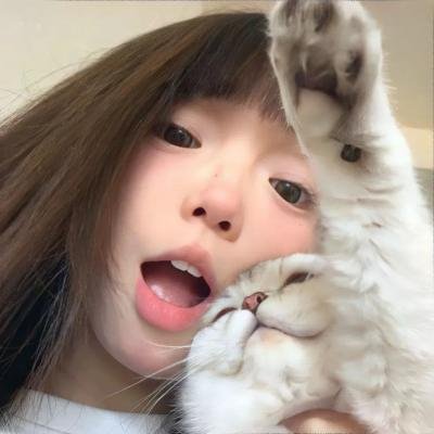 鲅鱼恋上猫
